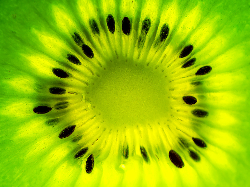 kiwi Kiwi para Branding identidad y packaging Beautysané