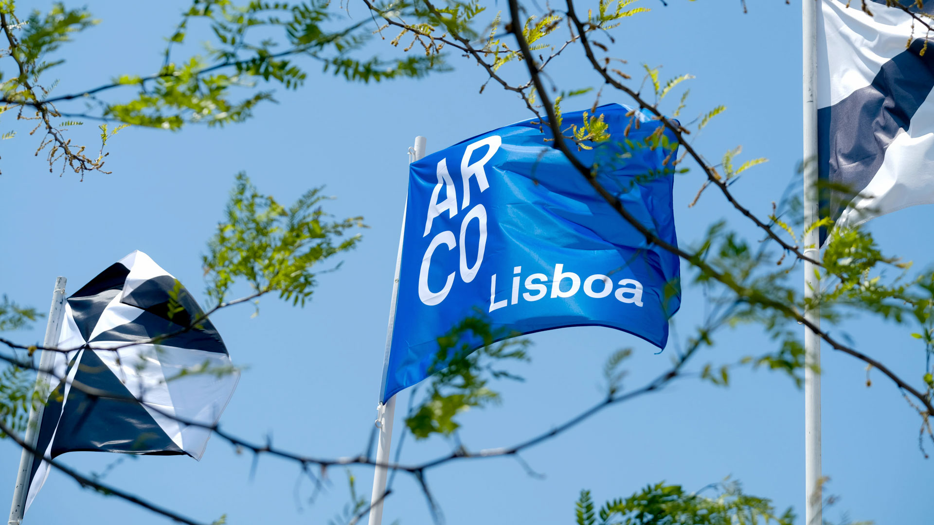 17_bandera Banderola Identidad Visual ARCO